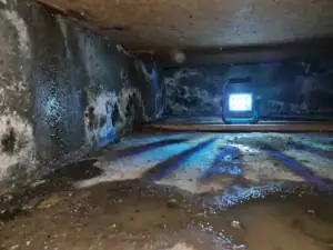 Vochtige kruipruimte onder Nederlandse woning met staand water, schimmel en kalkuitslag op betonnen funderingsmuren.